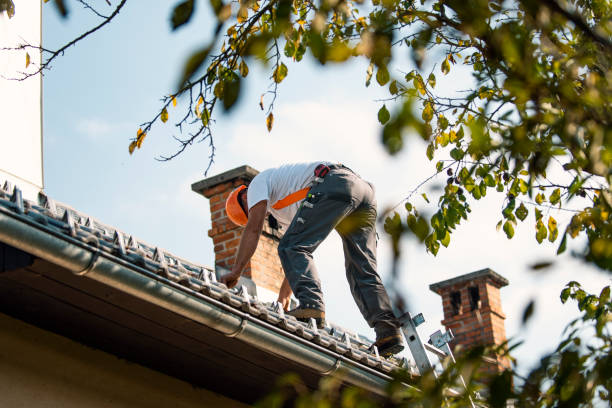 Best Best Roofing Contractors  in Davis, OK