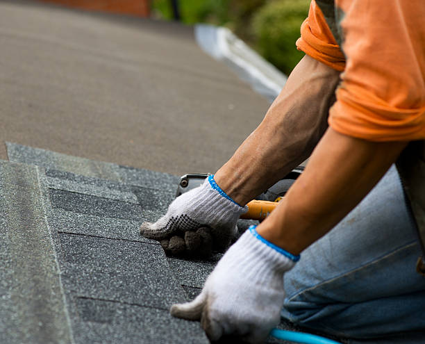 Best Roof Gutter Cleaning  in Davis, OK